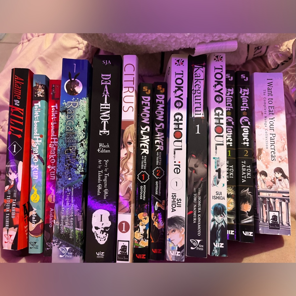 Manga bundle